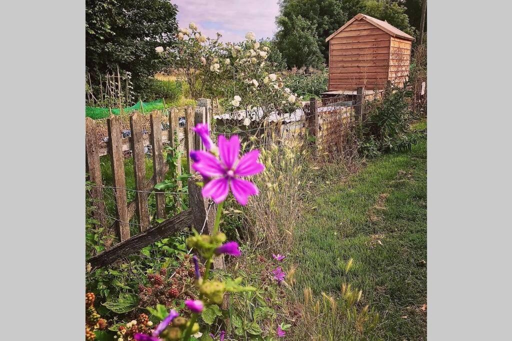 לונג מלפורד Melford Allotment Shed-Vintage Lodge Suffolk מראה חיצוני תמונה